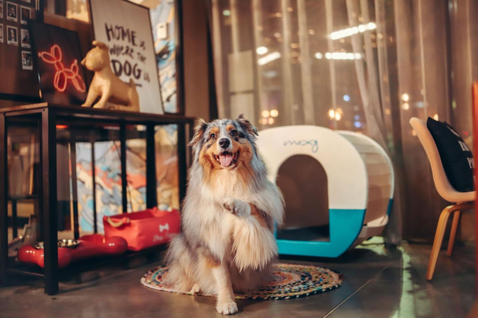 Moxy Bordeaux Hotel Eksteriør billede